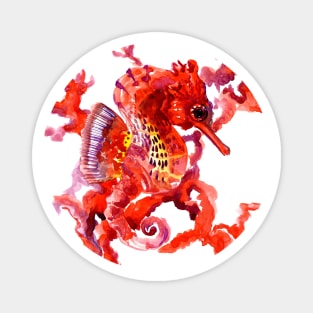 Seahorse, Coral Red Design Magnet